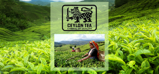 Celebrating Ceylon Tea