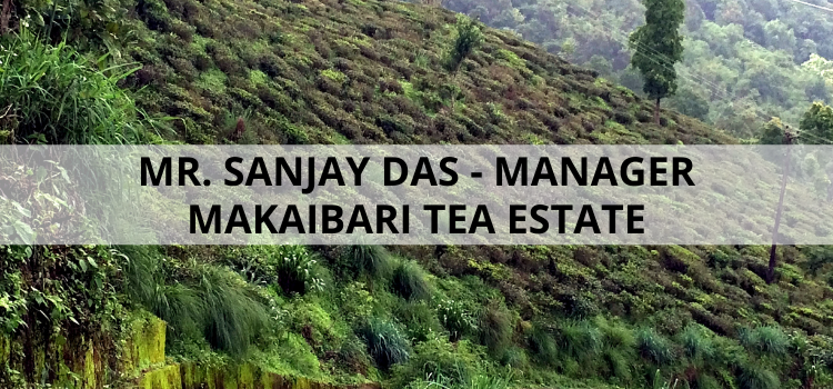 Makaibari's Intrepid Manager - Mr. Das