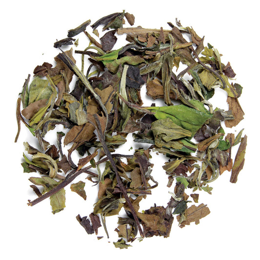 Organic White Peony - Silver Tips Tea's Organic Loose Leaf Tea